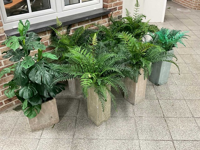 Partij kunstplanten met pot - afbeelding 1 van  1