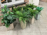 Partij kunstplanten met pot - afbeelding 1 van  1