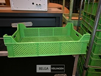 Partij kunststof fruitbakjes - afbeelding 3 van  5