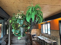 Partij kunststof hangplanten - afbeelding 4 van  7