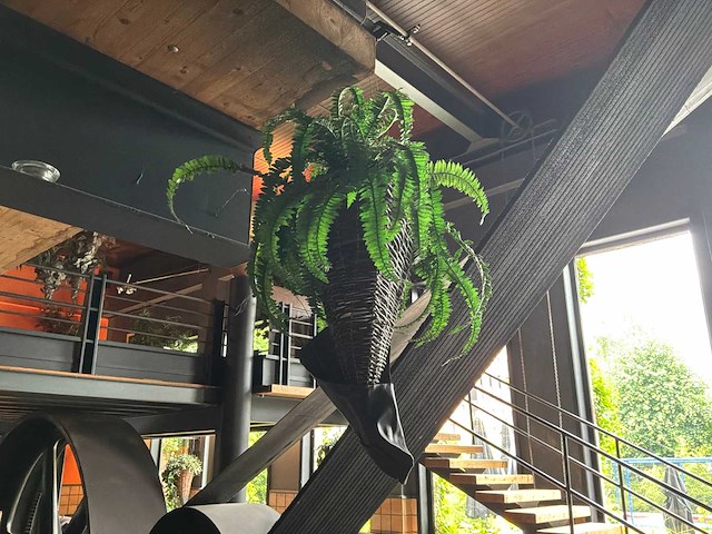 Partij kunststof hangplanten - afbeelding 7 van  7