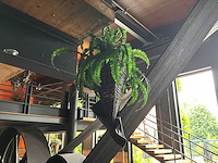 Partij kunststof hangplanten - afbeelding 7 van  7