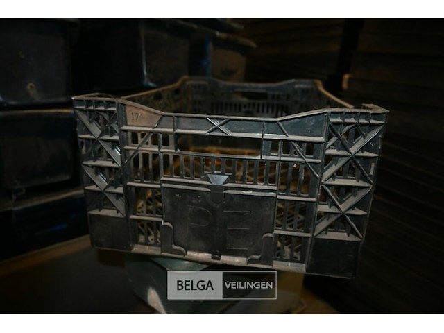 Partij kunststof kisten - afbeelding 4 van  5