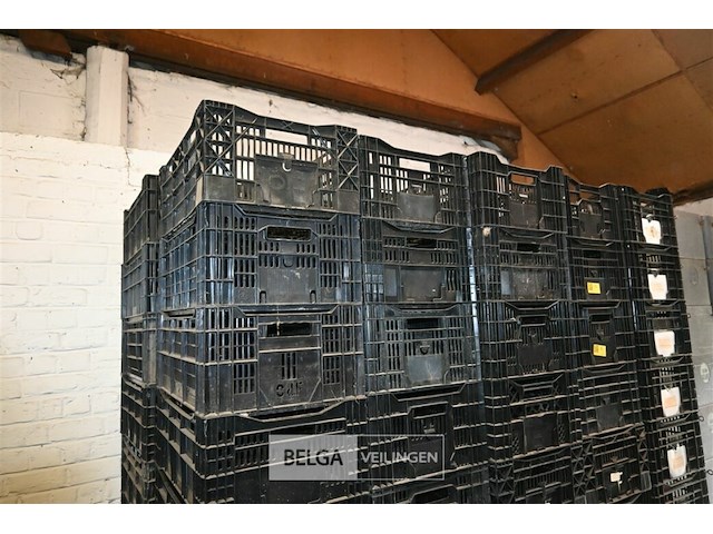 Partij kunststof kisten - afbeelding 1 van  5