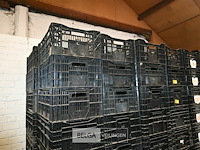 Partij kunststof kisten - afbeelding 1 van  5