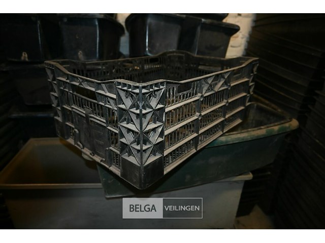 Partij kunststof kisten - afbeelding 2 van  5
