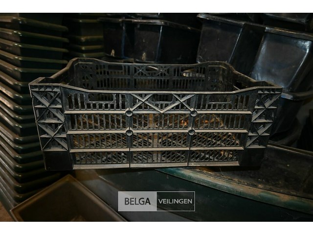 Partij kunststof kisten - afbeelding 3 van  5