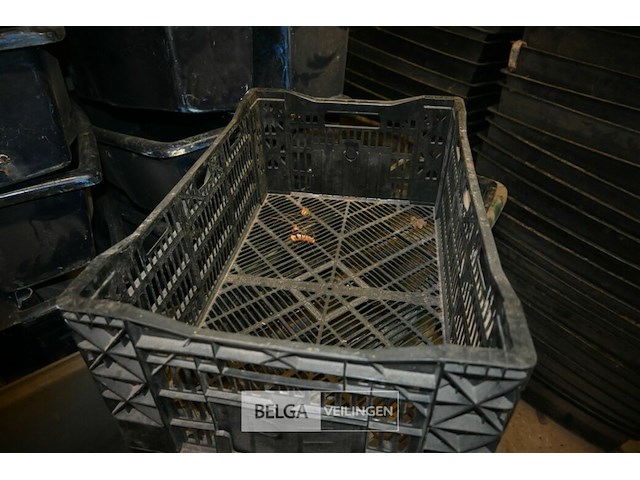 Partij kunststof kisten - afbeelding 5 van  5