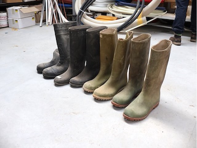 Partij laarzen - afbeelding 1 van  4