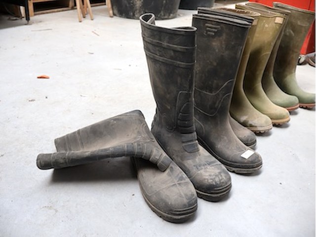 Partij laarzen - afbeelding 3 van  4