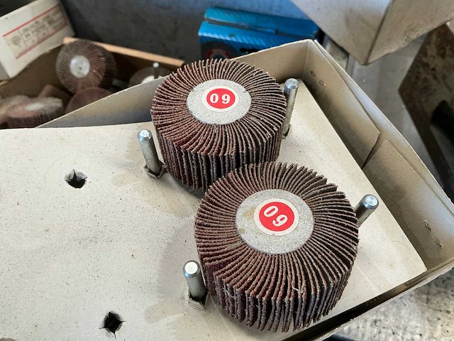 Partij lamellenborstel - afbeelding 3 van  4