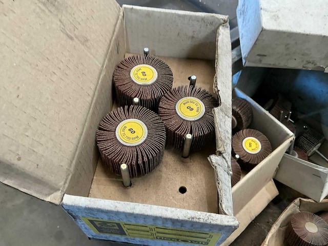 Partij lamellenborstel - afbeelding 4 van  4