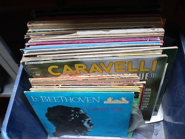 Partij lp's & singles - afbeelding 3 van  6