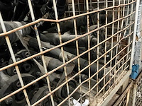 Partij mercedes-benz auto-onderdelen - afbeelding 4 van  7