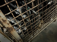 Partij mercedes-benz auto-onderdelen - afbeelding 6 van  7