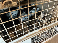 Partij mercedes-benz auto-onderdelen - afbeelding 4 van  7