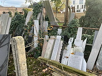 Partij natuurstenen bladen - afbeelding 27 van  40