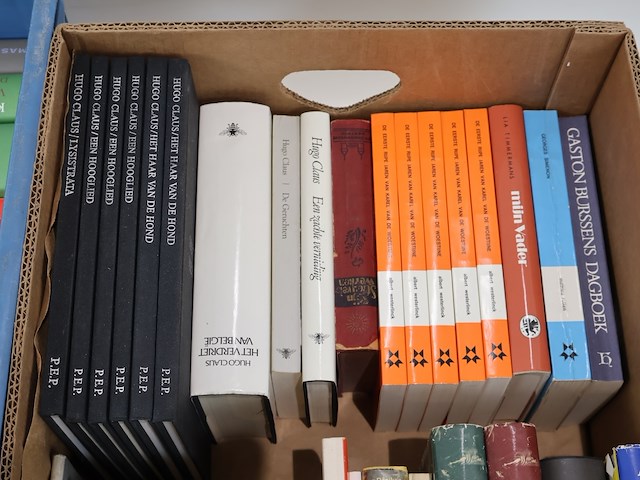 Partij nederlandstalige literatuur - afbeelding 8 van  8