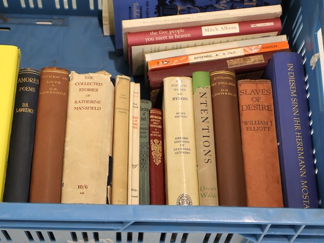 Partij niet nederlandse literatuur - afbeelding 3 van  4