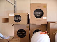 Partij nordic tales - afbeelding 5 van  6