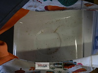 Partij onderborden en glazen - afbeelding 4 van  4