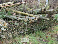 Partij oud hekwerk - afbeelding 7 van  9