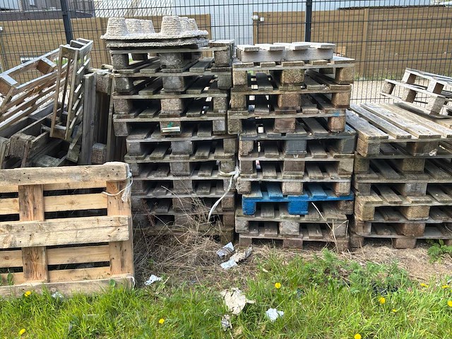 Partij palletten - afbeelding 5 van  6