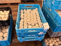 Partij porselein potjes - afbeelding 1 van  2