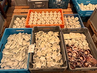 Partij porselein - afbeelding 1 van  7