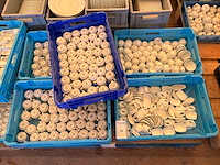 Partij porseleinen koffiekopjes en schaaltjes - afbeelding 1 van  8