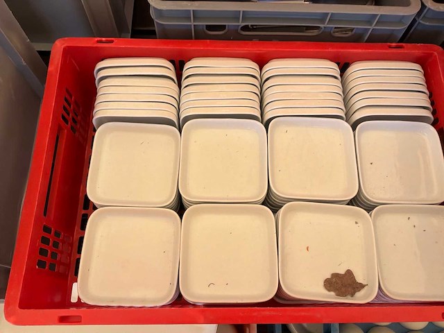 Partij porseleinen schoteltjes - afbeelding 3 van  4