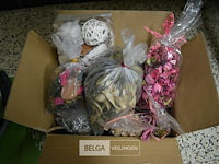 Partij pot porie - afbeelding 1 van  3