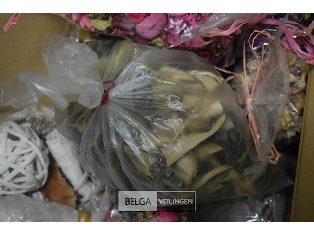 Partij pot porie - afbeelding 3 van  3