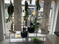 Partij presentatieblokken en decoratie - afbeelding 1 van  3
