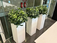 Partij receptie meubilair (inkom) - afbeelding 7 van  8