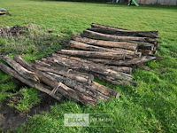 Partij robinia palen - afbeelding 1 van  5