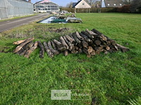 Partij robinia palen - afbeelding 2 van  5