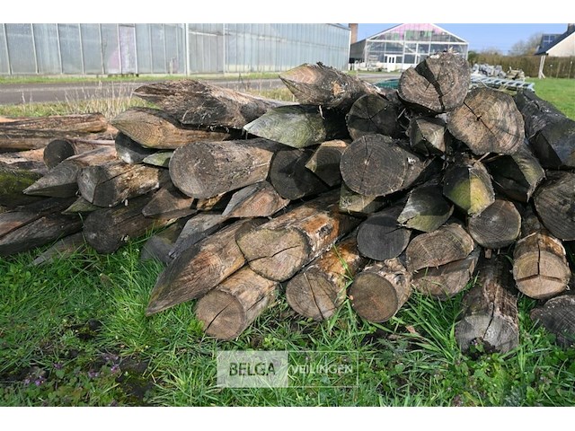 Partij robinia palen - afbeelding 3 van  5