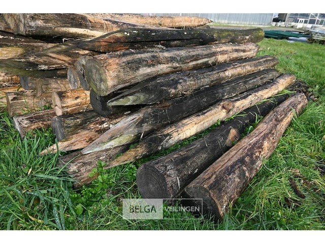 Partij robinia palen - afbeelding 4 van  5