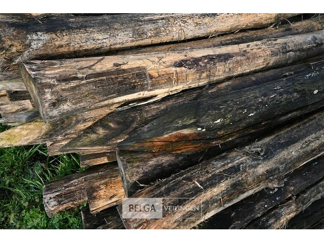 Partij robinia palen - afbeelding 5 van  5