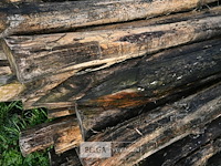 Partij robinia palen - afbeelding 5 van  5