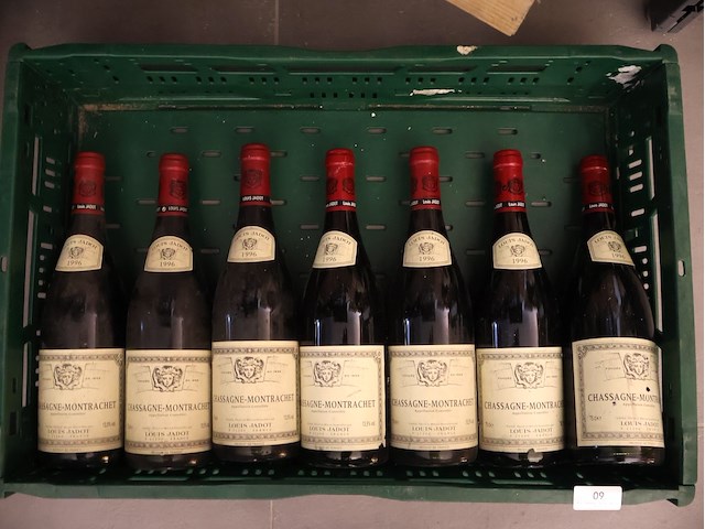 Partij rode wijn (x9) - afbeelding 1 van  3