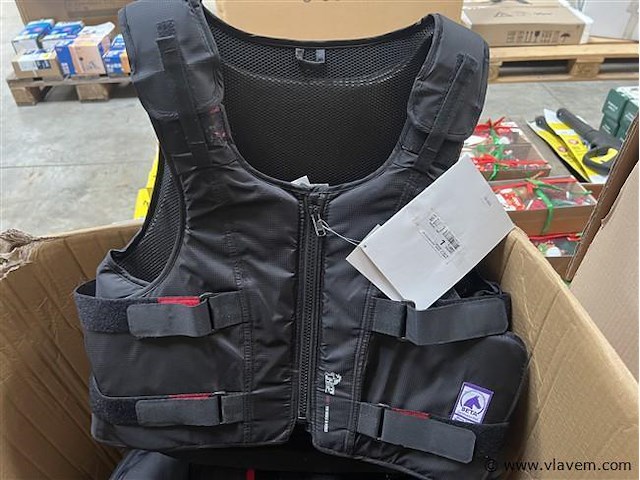 Partij rugbeschermers voor kinderen - afbeelding 3 van  3