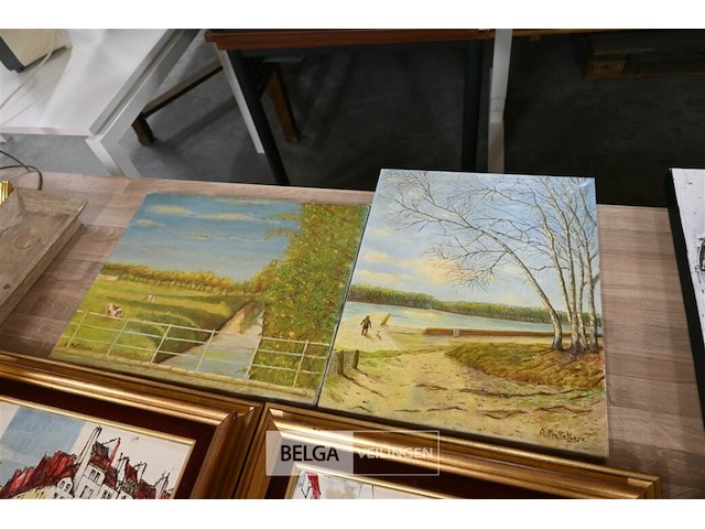 Partij schilderijen + lampen - afbeelding 6 van  8