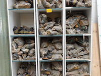 Partij schoenen - afbeelding 1 van  16