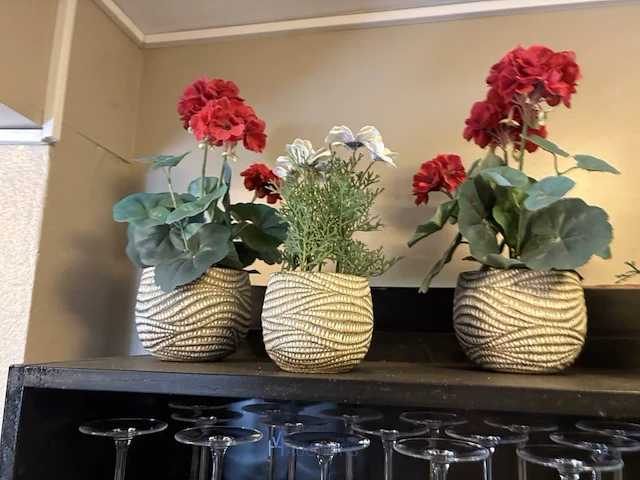 Partij servies en decoratie - afbeelding 15 van  23
