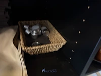 Partij servies en decoratie - afbeelding 23 van  23
