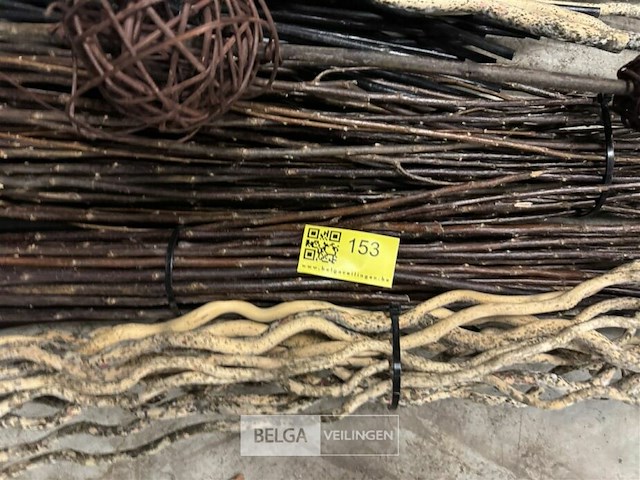 Partij siertakken - afbeelding 3 van  3