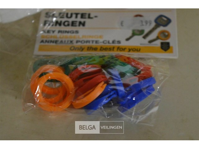 Partij sleutelhangers en ringen - afbeelding 4 van  4