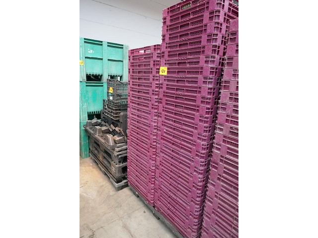 Partij stapelbakken + plastieken palletten - afbeelding 1 van  5